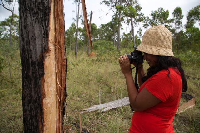 14413201288_cea5826ffd_o